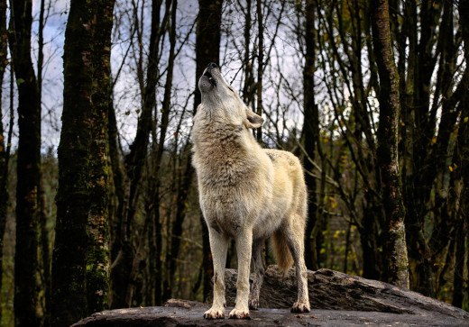 1755974 (a): :1920x1338